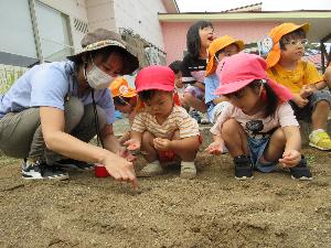 保育士1人と2歳児2人が畑の土に大根の種を植えようとしています。