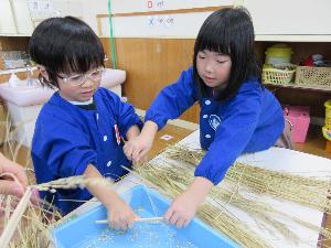 写真：割り箸を使って稲を脱穀している3歳児を手伝う5歳児の女の子