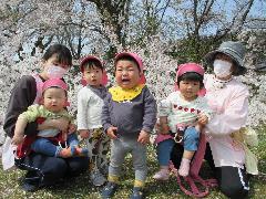 写真：コミセン広場の満開の桜の前で、保育士と並んで写真を撮る0・1歳児
