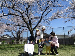 1歳児4人が桜の木の下に並んでいる写真。そのうちの一人は保育者におんぶされています