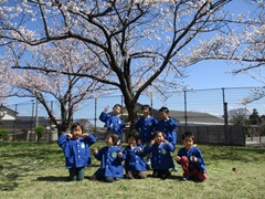 4歳児5人と5歳児3人が桜の木の下でピースしている写真・桜と青空がきれいに映っています