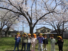 2歳児2人と3歳児6人が満開の桜の木の下に並んでいる写真