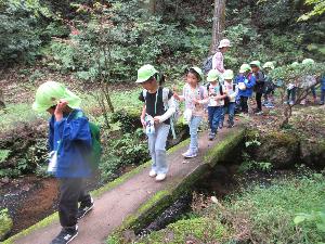写真：赤坂山公園内にある石の一本橋を、一列に並んで渡る4歳児