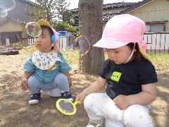ひよこ組の子ども達が飛んできたシャボン玉をみている写真