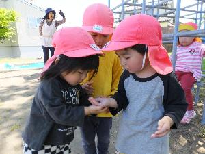 写真：園庭で見つけたダンゴムシを手のひらにのせ、お友達に見せている園児