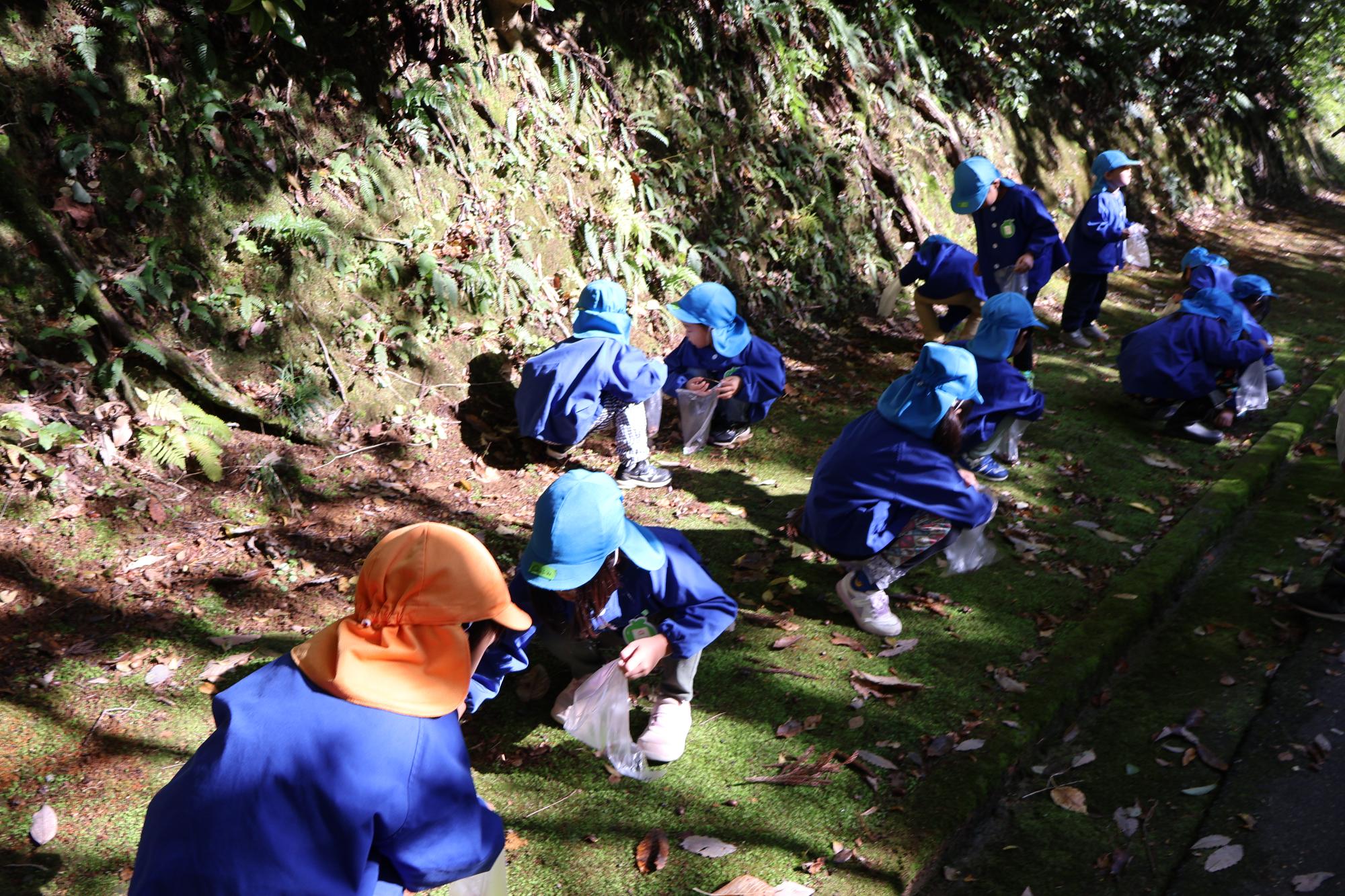 写真：たくさんのどんぐりが落ちているエリアで、10人以上の子どもたちがしゃがんで拾っています。