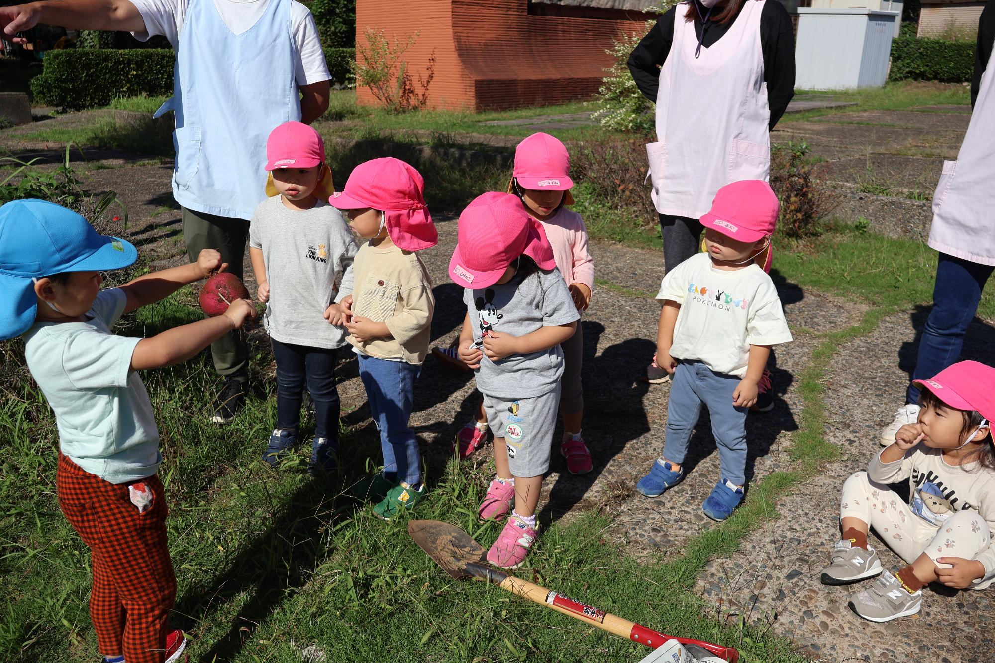 写真：青色の帽子をかぶった子どもが、収穫したサツマイモを他の子どもたちに見せています