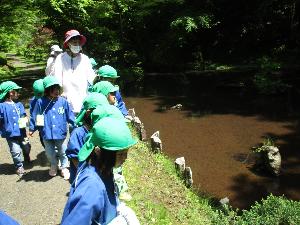 池の周りを散策している4歳児と5歳児の写真