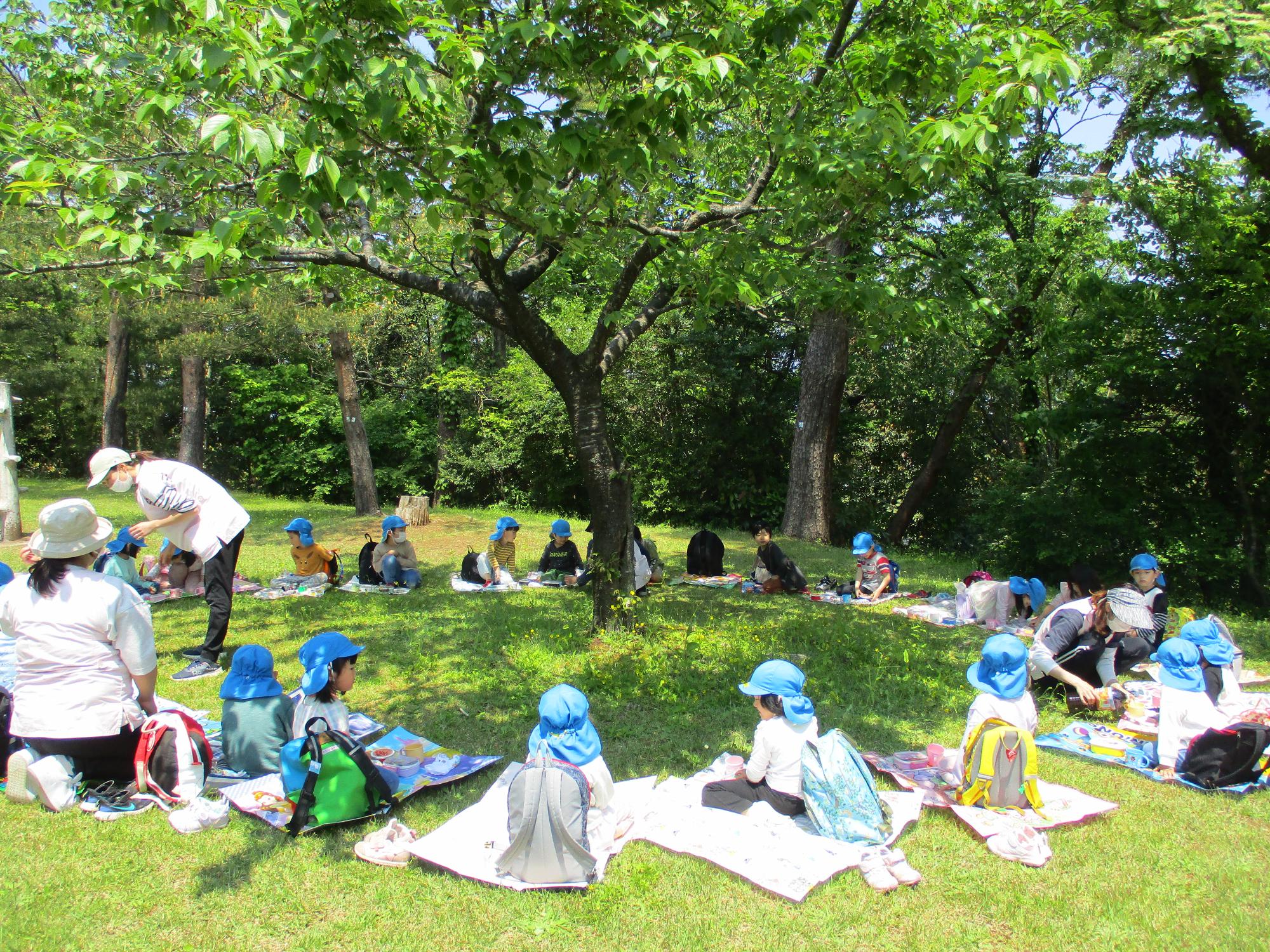 写真：赤坂山公園で円になって座り、弁当を食べる子どもたち
