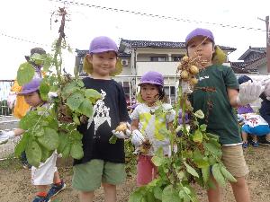 写真：茎についたままの掘り起こしたジャガイモを目の前に上げてうれしそうに見せてくれる園児たち