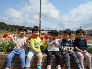 写真：うさぎ組の子どもたちが園舎前の花壇のふちに腰掛け、満開のチューリップをバックに撮影しました