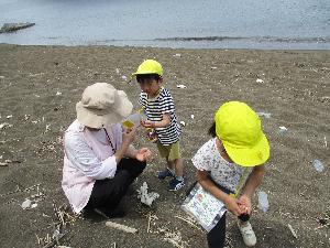 写真：担任の保育士と2人の園児が砂浜で貝拾いをしています