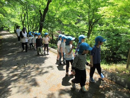 写真：木漏れ日できらきらする遊歩道を、二人ずつ手をつないで歩く5歳児の子どもたち