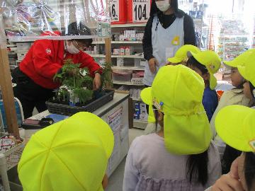 写真：ホームセンターのレジ前に子どもたちが並び、店員のレジ打ちの様子を見ています。