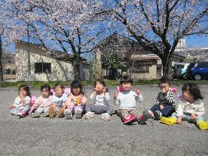 写真：保育園近くの公園で、こあら組8人の子どもたちが桜の木の下でそれぞれがかわいらしいポーズをしているところ