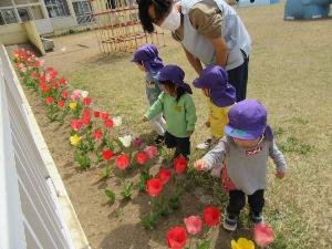 写真：2歳児の子どもたちが保育者と一緒に花壇に咲いているチューリップを見ています。