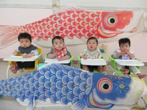 写真：大きな赤と青のこいのぼりに囲まれ、並んで椅子に座る0歳児の子どもたち
