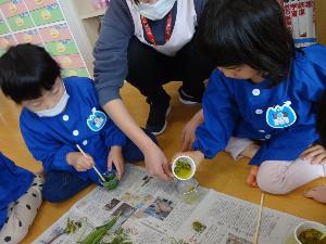 草花を割り箸ですり潰して色水作りを楽しむ2人の女の子