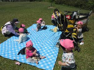 写真：芝生の上に広げたシートの上に座るひよこ組の子どもたち。芝生の上に立っている子もいます。