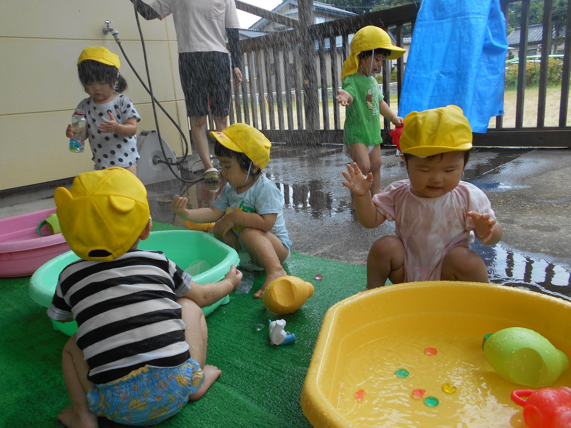写真：0・1歳児5人が、たらいの水で遊んだり、保育士のかける水シャワーを楽しんだりしています