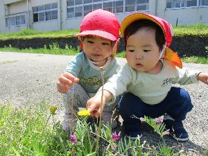 写真：道端に咲くタンポポを見つけてしゃがみ、指さす2人の一歳児