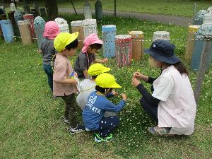赤坂山公園の芝生で花をみつけて、しゃがんで観察している5人の子どもと担任