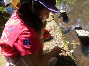 写真：園児が池の中のオタマジャクシを指さしています