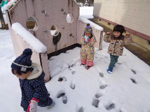 写真：雪の上を歩いているりす組の子どもたち。子どもたちの後ろには、たくさんの足跡が残っています