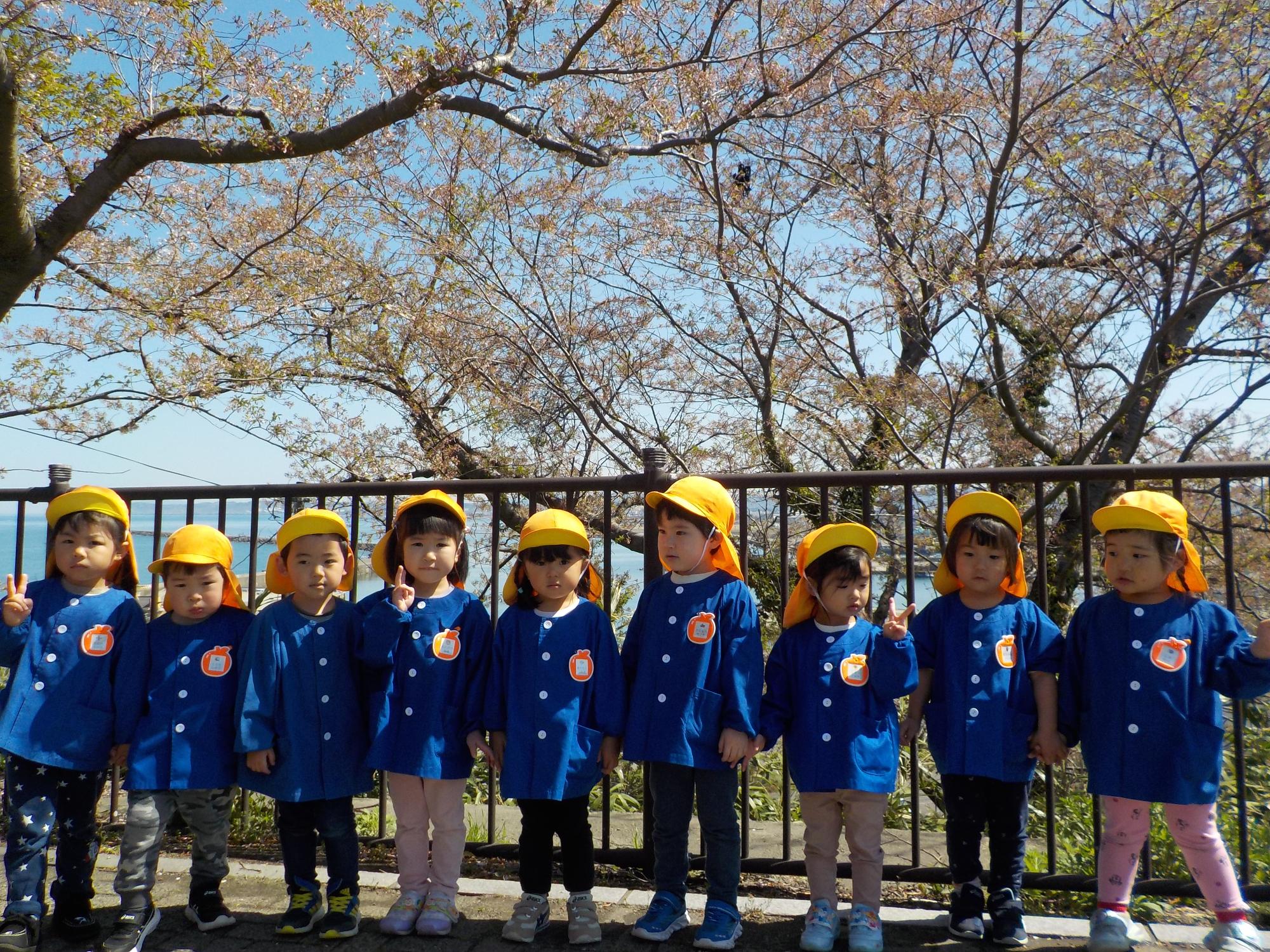 写真：子どもたちが満開の桜の前に並んでいるところ