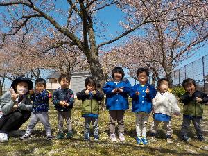 桜の下でぱんだ組の7人の子どもたちが写真撮影をしました。