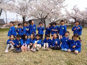 桜の下で2列に並び、ぞう組の子どもたち18人が写真撮影をしました。