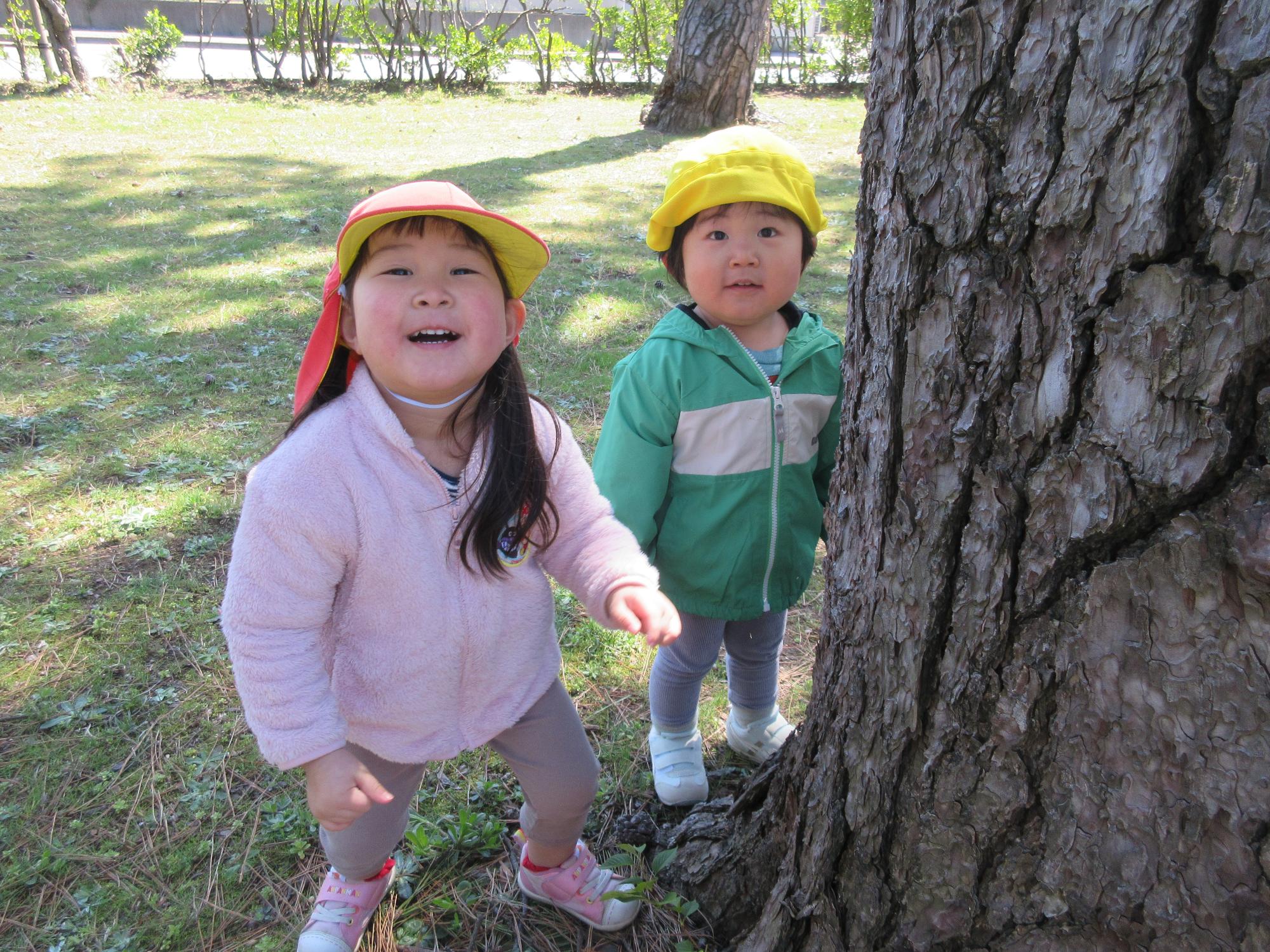 写真：ぱんだ組の2人の子どもが神社の大きな松の幹のそばで遊んでいます