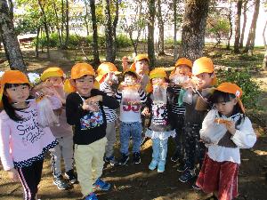 写真：ぱんだ組の子どもたちが集合し、拾ったどんぐりを見せています。