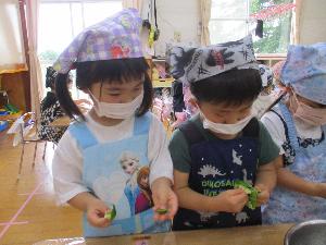 写真：マスクに三角巾、エプロン姿の3歳児がピーマンをちぎっています
