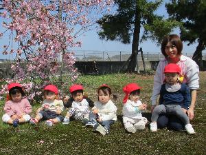 写真：高田保育園の園児6人が芝生の上に一列に座っています。その後ろには満開の桃の花のついた枝が下がっています