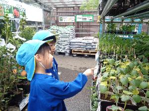 写真：ホームセンターの店先に並んだたくさんの野菜の苗を、お友達と相談しながら選んでいるところ