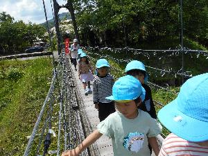 写真：こども自然王国のつり橋を一列に並んで進んでいる子どもたち。