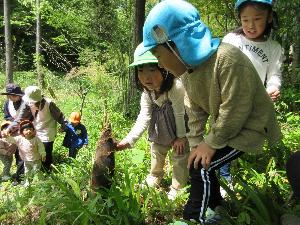 写真：タケノコに触る子どもたち。まだ子どもたちの膝くらいの長さです。
