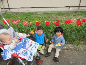 写真：作ったちょうちょを持っているひよこ組の子どもたち。1人はベビーカーにのり、2人は道端に座っています。後ろには一列に並んで咲くチューリップが見えます。