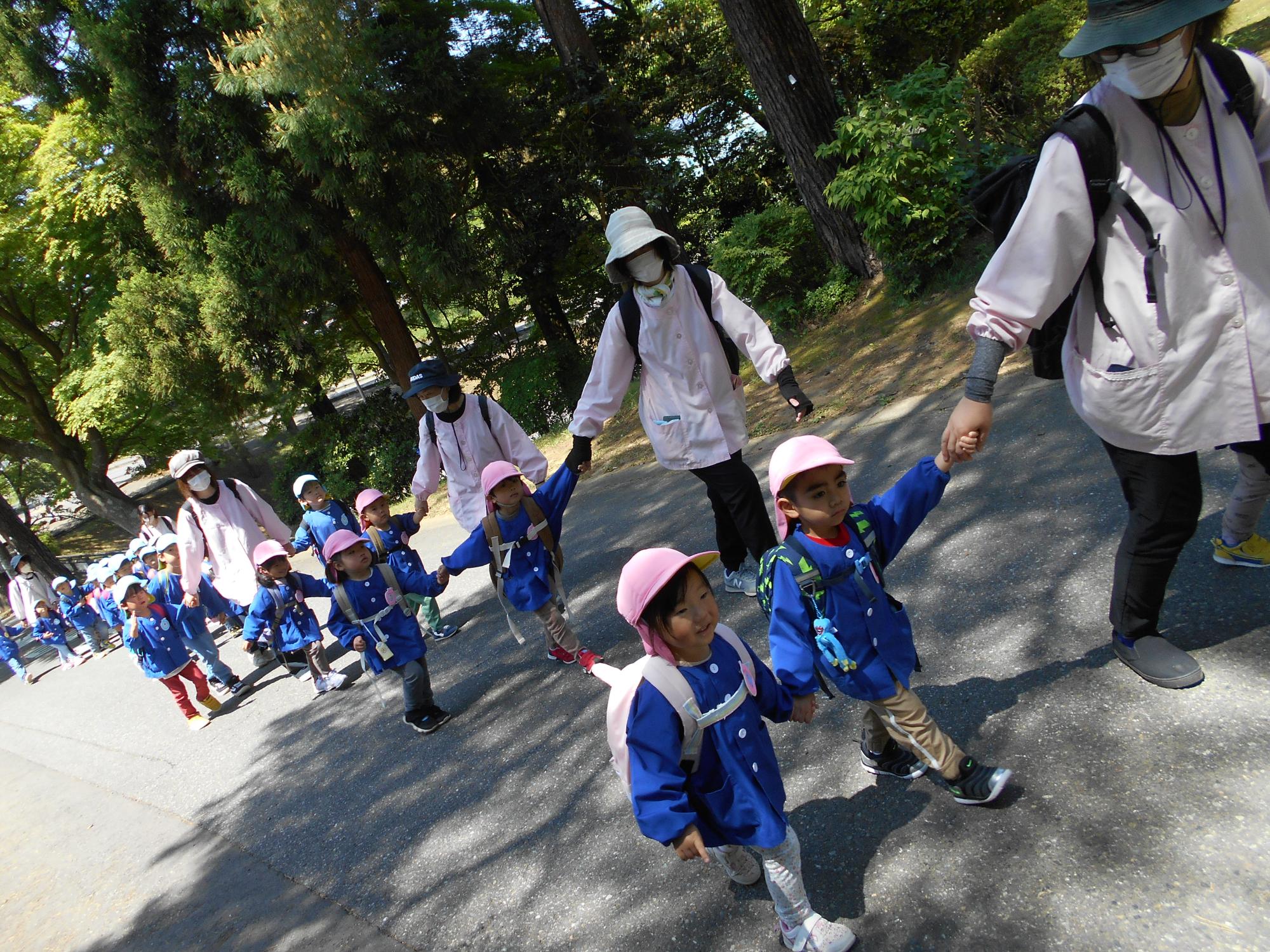 遠足でぞう組の子ども達が手をつなぎ歩いている写真