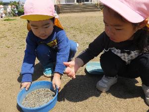 写真：男の子と女の子が見つけたアリをざるに入れようとしています