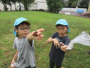 写真：芝生の上で、2人の男の子が手のひらにのせた大きなどんぐりを見せてくれている様子