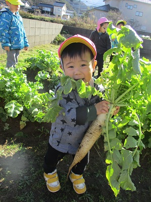 写真：大きな大根を持ち上げ、嬉しそうな笑顔を見せる1歳児男児