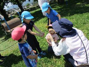 写真：駅前公園の野原でオオバコ相撲をして楽しむ4人の子どもと保育士