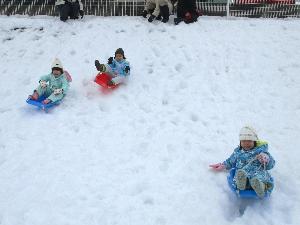 写真：園庭の坂道でそり滑りを楽しむぱんだ組の3人の女児