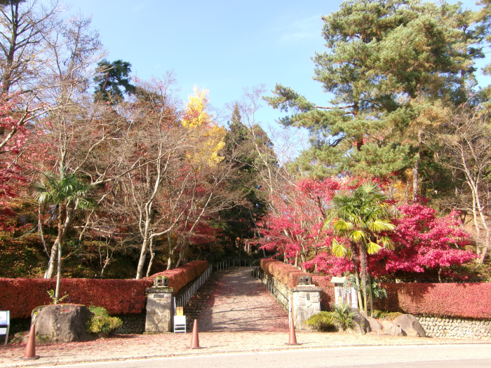 写真：11月27日の松雲山荘正門の様子。中央の園路脇の木は、右手前の木を除きほぼ落葉しています。