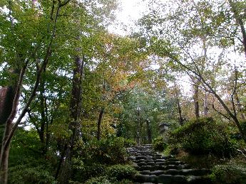 写真：11月2日の園内の様子。雨に濡れしっとりした様子の石段と青葉の木