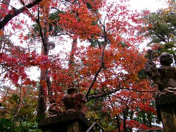 写真：11月17日の園内。真っ赤なモミジと阿吽像