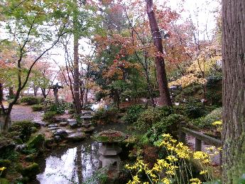 写真：11月17日の園内。雨の波紋が広がる池と苔むした石灯篭、黄葉した木々が見えます。