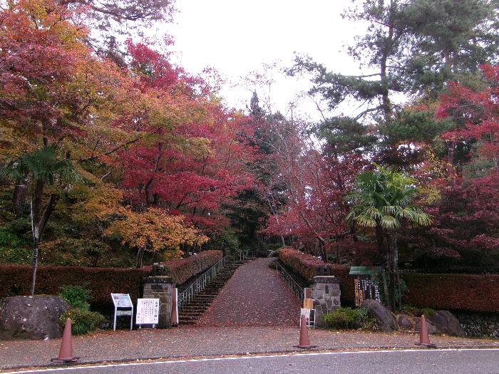 写真：11月20日の松雲山荘正面入り口。園路両脇の木が黄葉・紅葉し、見ごろを迎えています